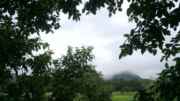 marc marquez impressionne en dominant les premiers tests en malaisie, tandis que fabio quartararo fait face à une lourde chute spectaculaire lors des essais.